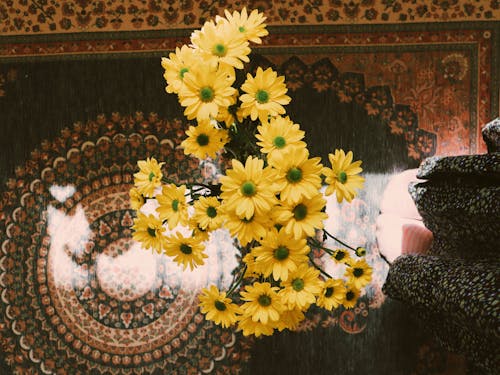Foto profissional grátis de amarelo, carpete, flores