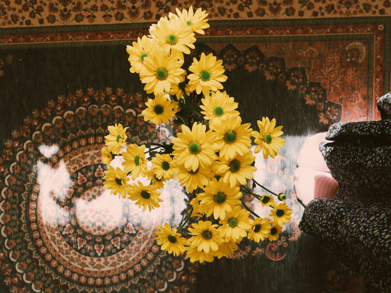 yellow daisies arranged on a detailed oriental carpet viewed from abov