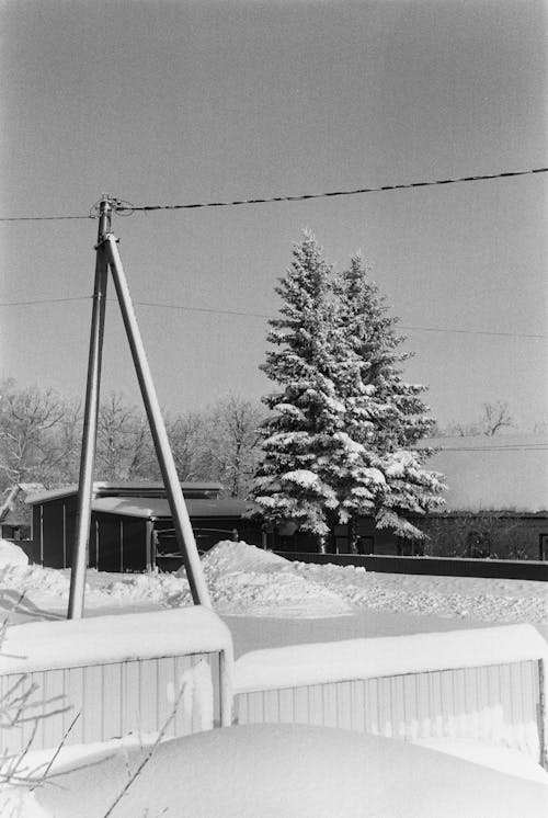 A black and white photo of a snow covered yard