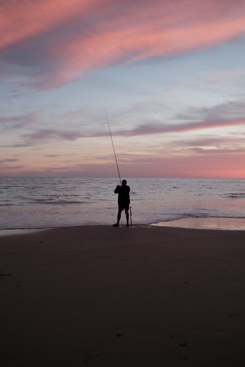 Photos gratuites de canne à pêche, ciel rouge, crépuscule