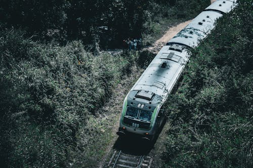 樹木, 火車, 草 的 免費圖庫相片