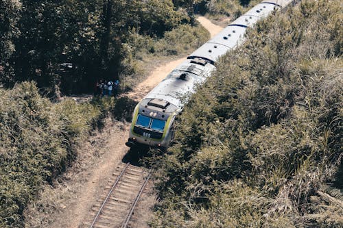 Foto profissional grátis de árvores, corrida, estrada