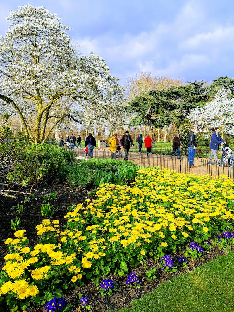 Традиционный глинобитный дом в Уарале с соломенной крышей