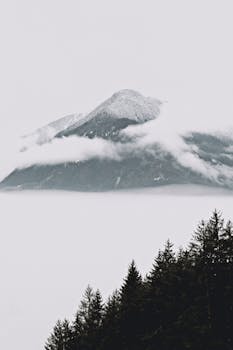 Peaceful mountain landscape with snow and misty clouds above a forest.