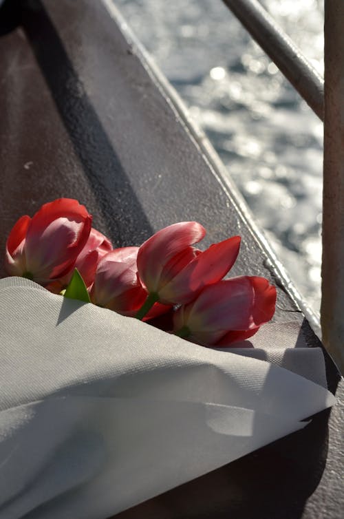 Foto d'estoc gratuïta de accelerador, bosphorus, tulipa vermell