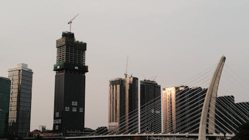 A city skyline with a bridge and tall buildings