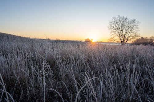 Gratis lagerfoto af bagbelyst, bane, frost