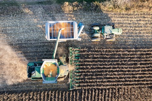 An aerial view of a combine harvesting corn