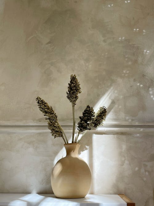 Безкоштовне стокове фото на тему «ваза, Деревина, зима»