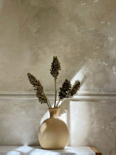 Dried flowers in soft afternoon light — photo by Alina Skazka on Pexels