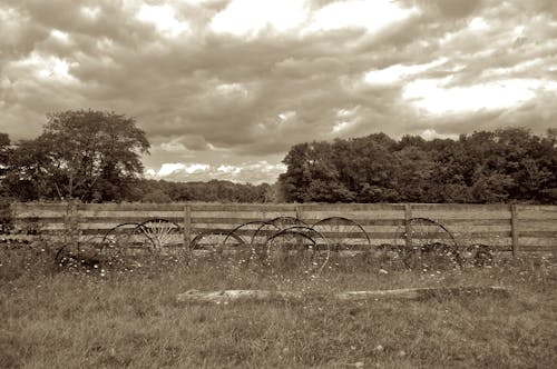 Základová fotografie zdarma na téma hřiště, kola, mraky