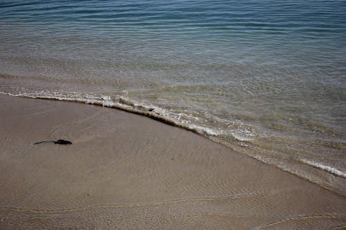 Imagine de stoc gratuită din apă de mare, apa de ocean, calm calm