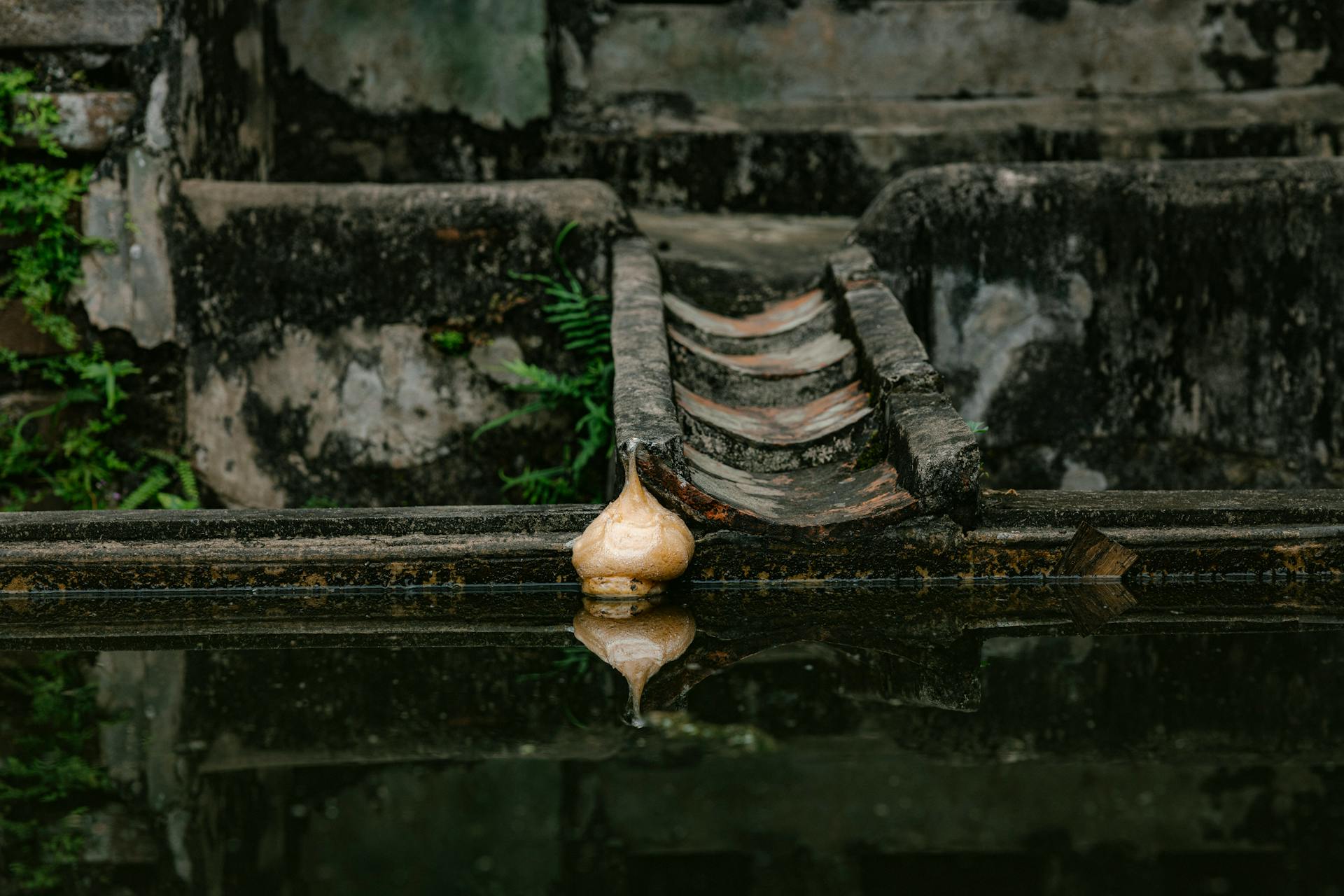 Tile Gutter and Pond