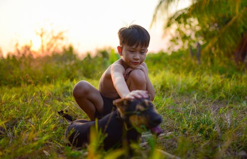 A young boy playing with a dog in the grass