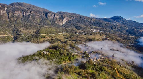 Imagine de stoc gratuită din acoperire, codru, fotografie aeriană