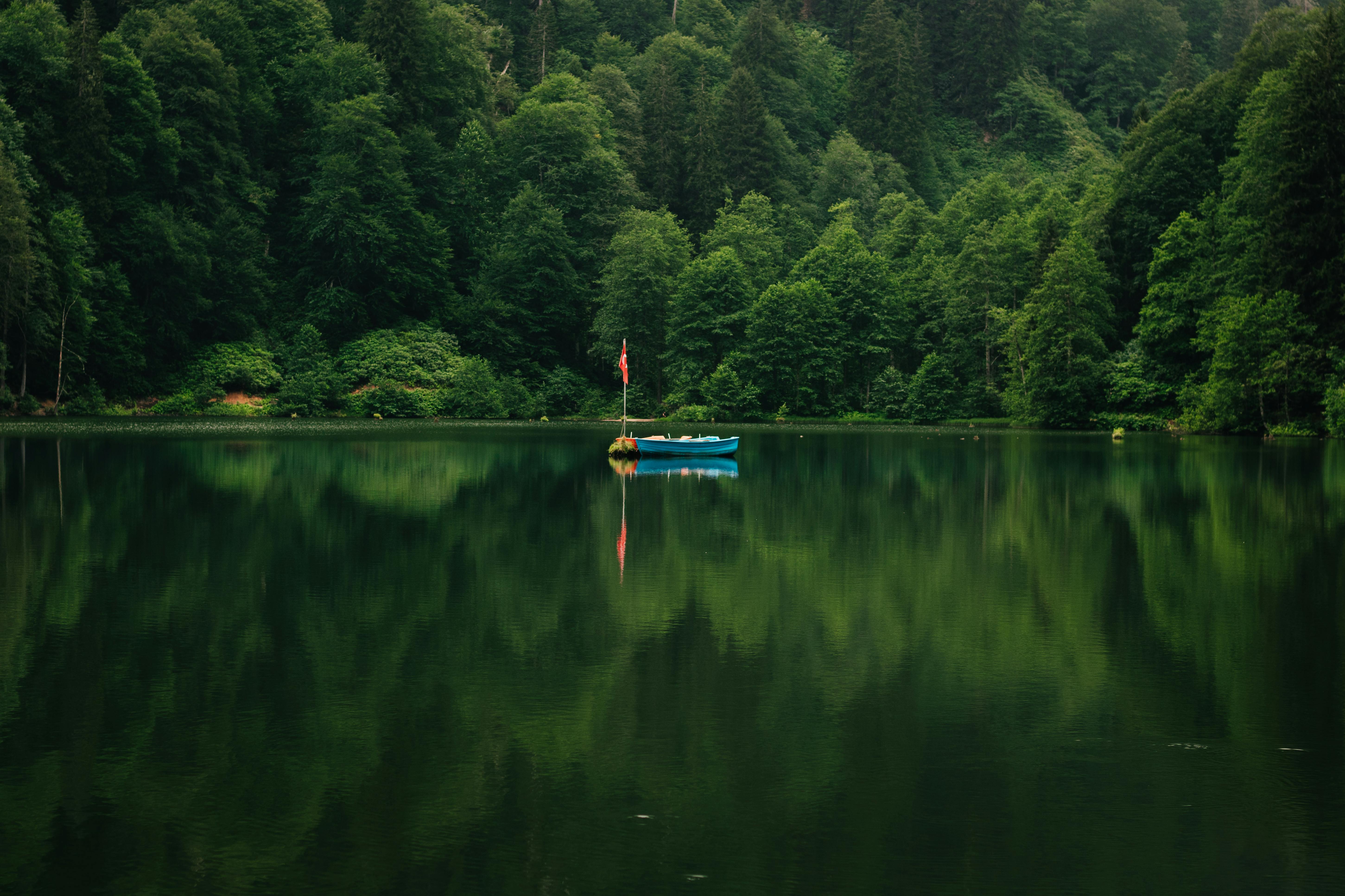 benefits of sustainable tourism for your travel agency clients - Tranquil lake surrounded by lush forest in Berlin, featuring a lone motorboat.