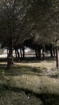 Image by Abdulvahap Demir