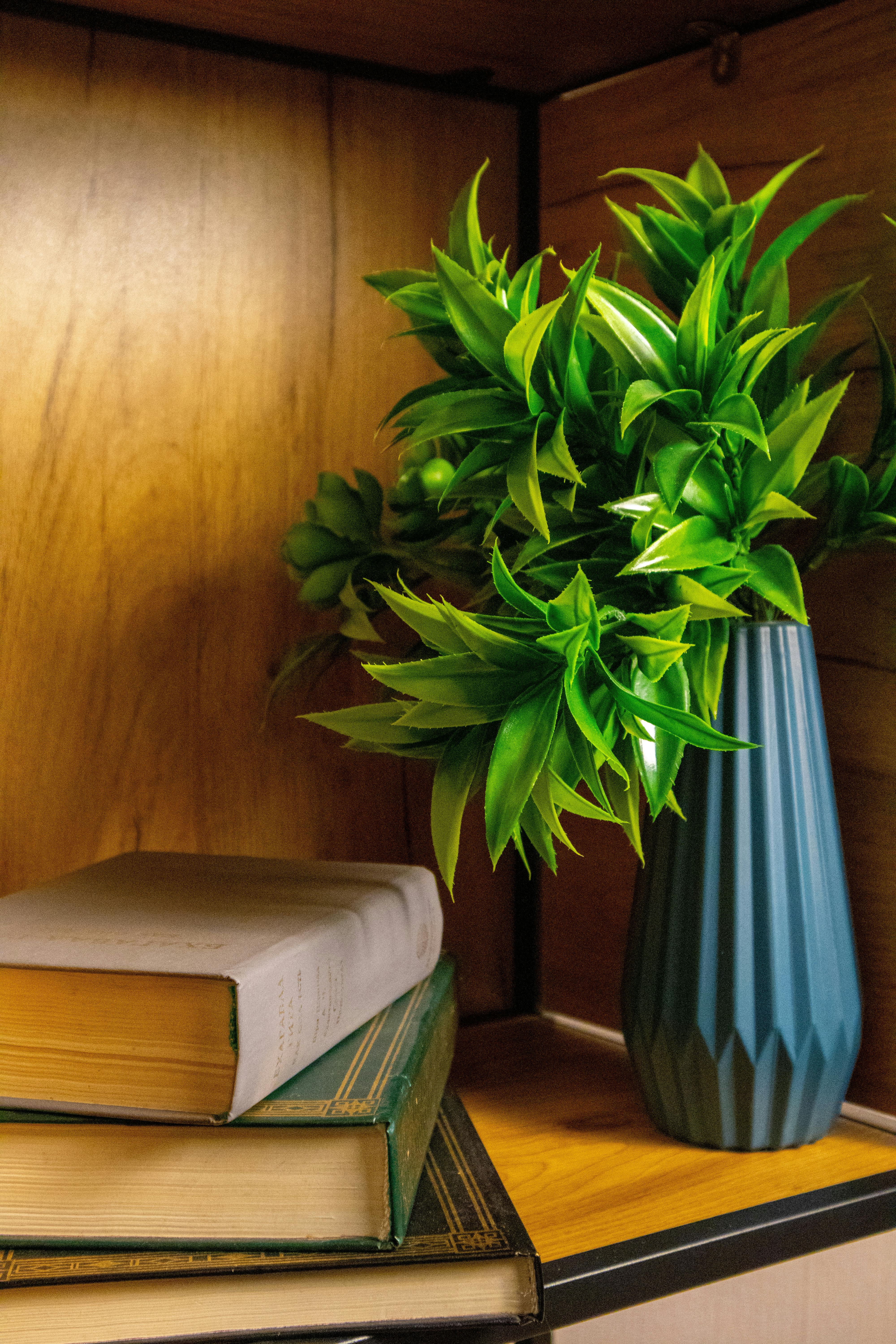 Gratuit Imagine de stoc gratuită din #de interior, armonios, bibliofil Fotografie de stoc