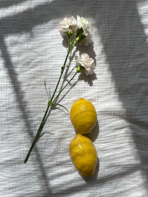 Lemon and flower on white background