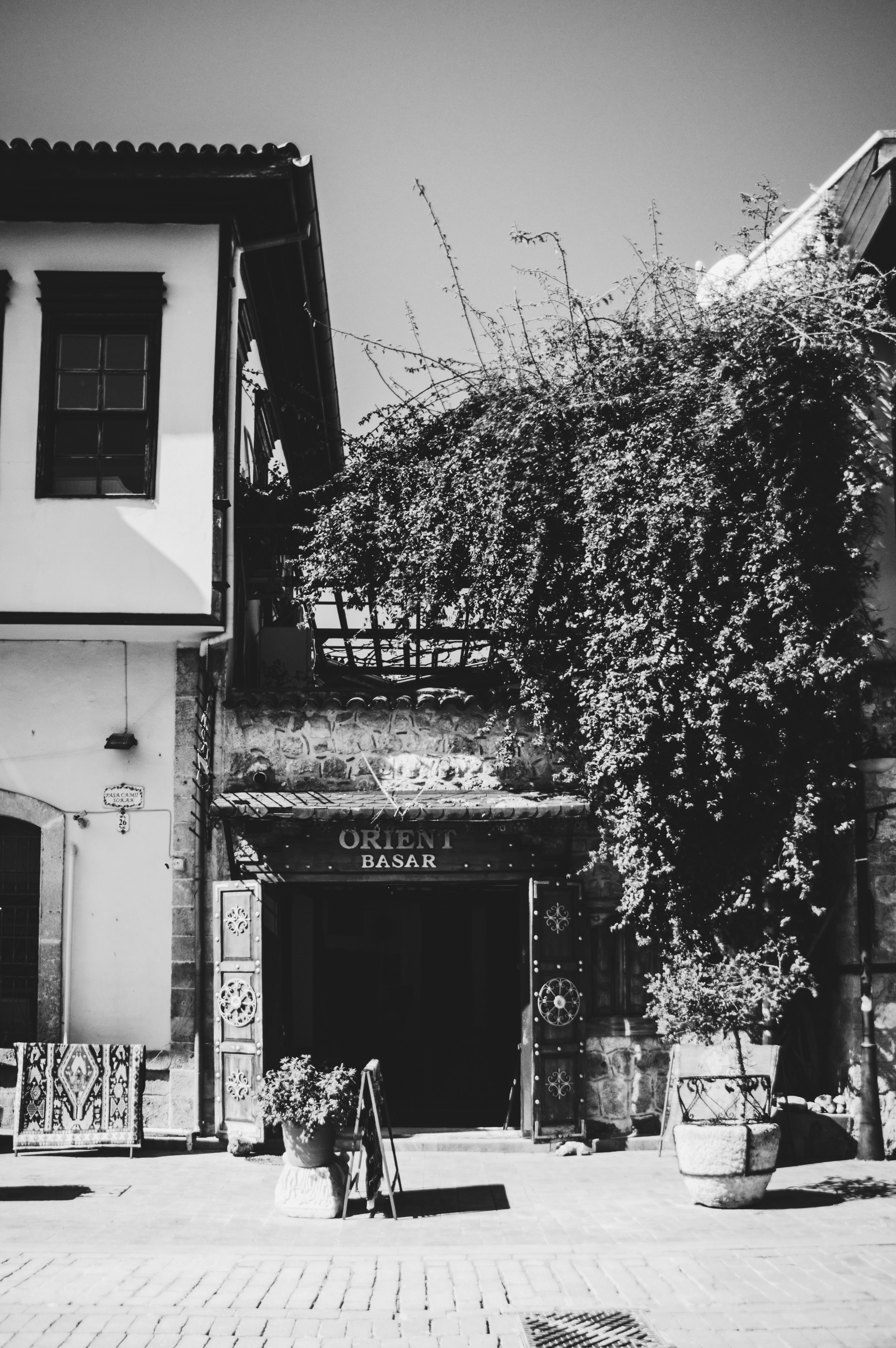 A captivating urban scene featuring a vintage bazaar entrance with a lush facade in black and white tones.