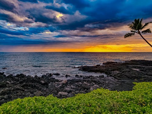 Základová fotografie zdarma na téma havaj, lava rock, modrá