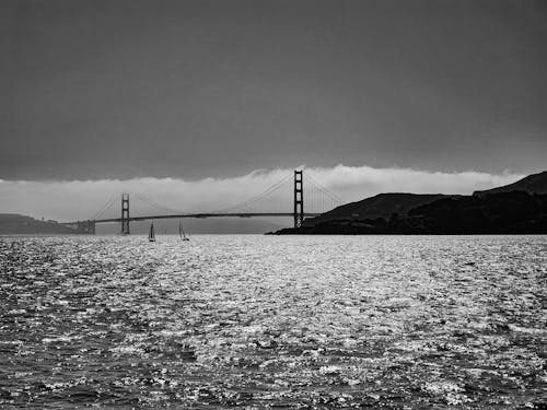 Fotos de stock gratuitas de área de la bahía, bahía, bahía de san francisco