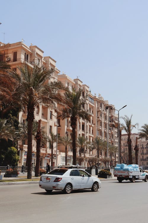 Gratis stockfoto met auto's, blauwe lucht, cairo