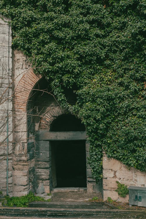 Foto profissional grátis de abandonado, arcada, arcadas