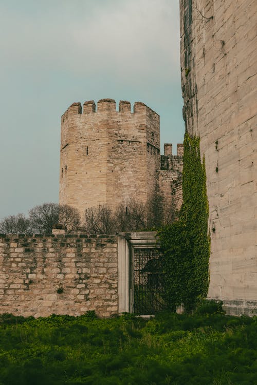 The castle is surrounded by green grass and trees