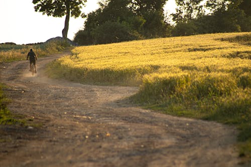 Gratis stockfoto met biker, gras, kerel