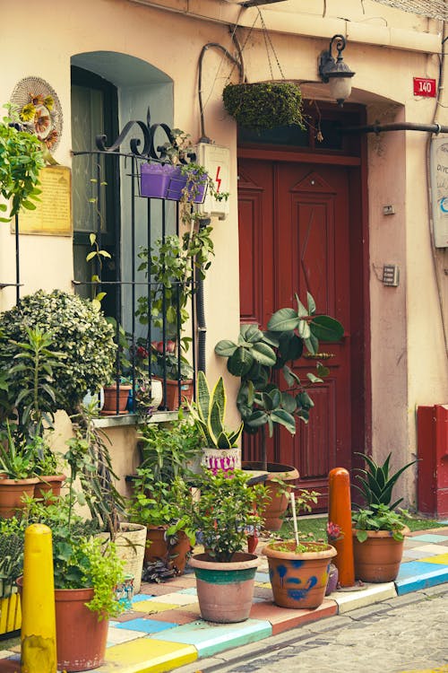 A colorful street with pots of plants on the sidewalk