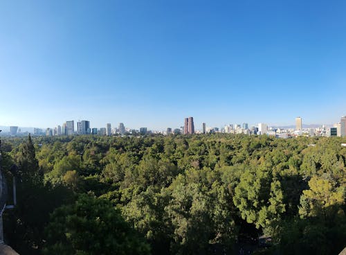 Fotobanka s bezplatnými fotkami na tému chapultepec, hrad, perspektíva