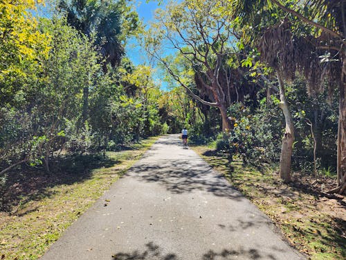 Sendero para caminata del parque Key Biscayne en Miami, Florida