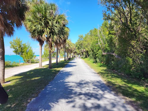 Sendero para caminata del parque Key Biscayne en Miami, Florida