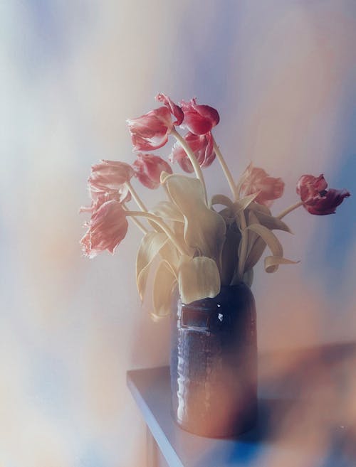 Безкоштовне стокове фото на тему «букет, Букет квітів, ваза»