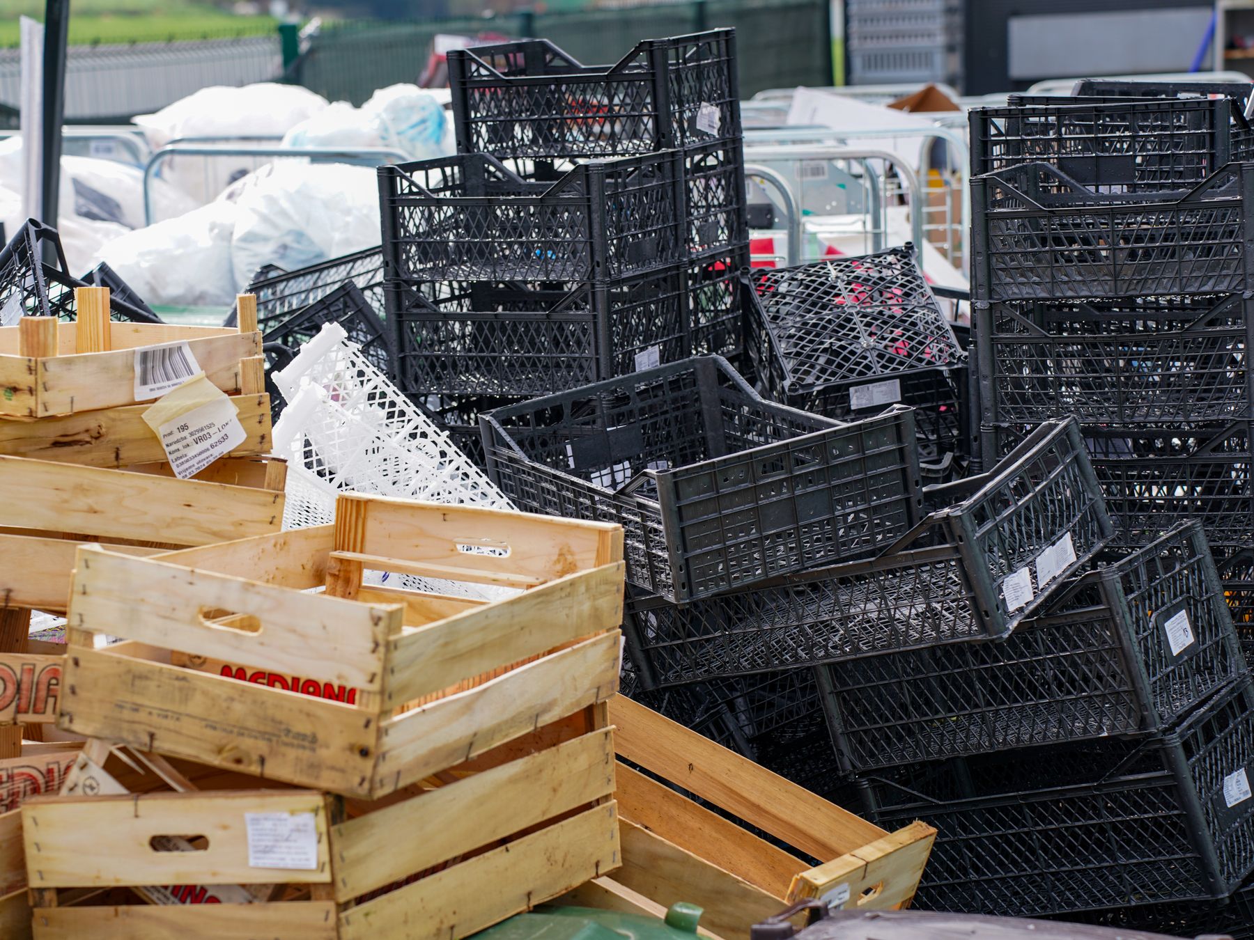 Bognor Regis — professional packers wrapping and boxing belongings