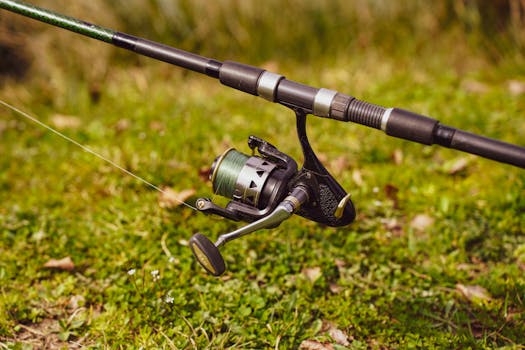 Detailed view of a fishing rod resting in a grassy field in Garešnica, Croatia.