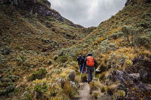 People walking through the mountains on a trail