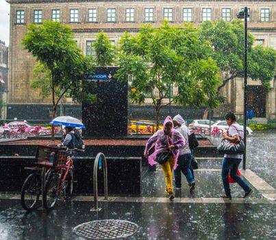 People walking on a wet city sidewalk during a rainstorm, carrying umbrellas and wearing ponchos.