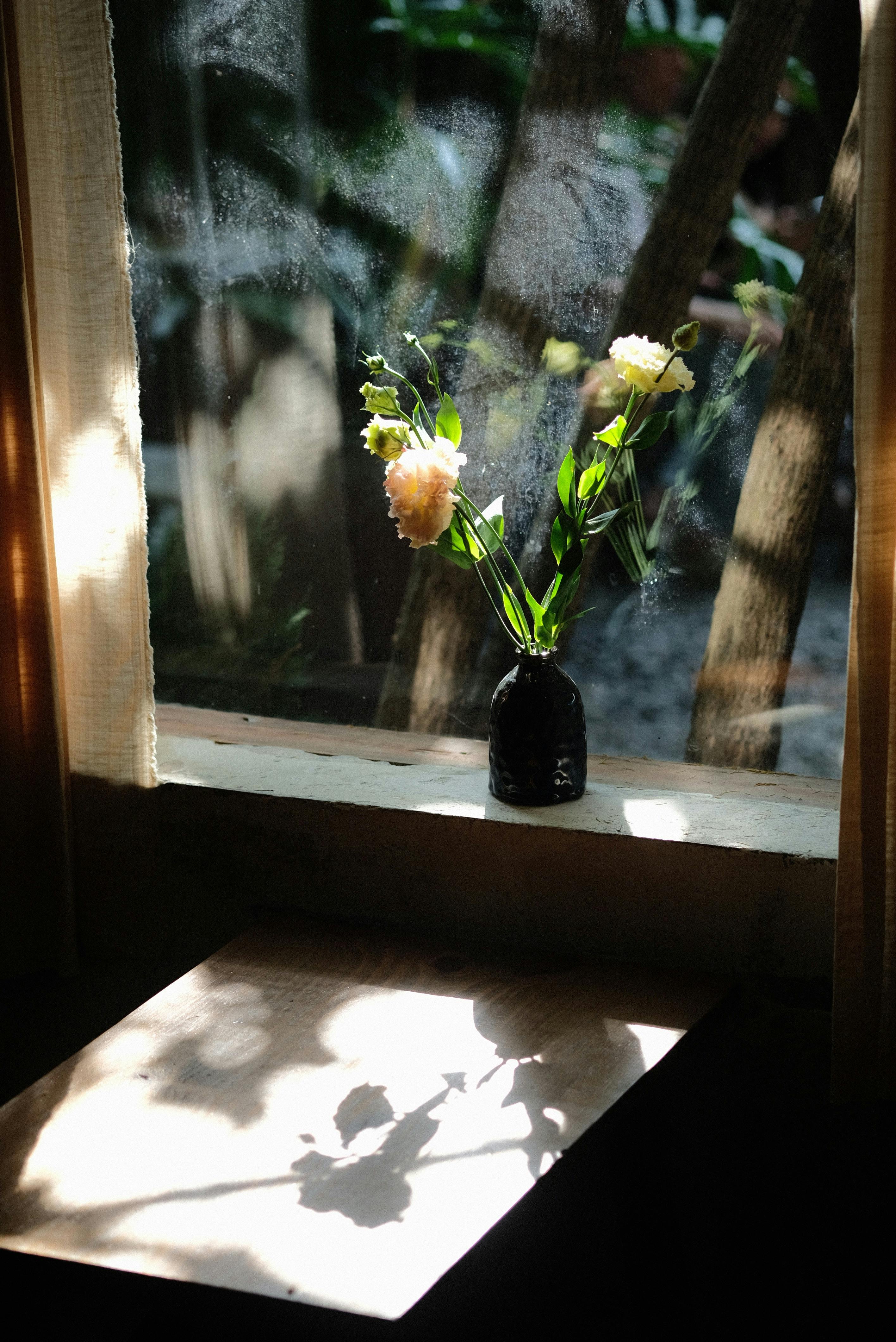 A vase of flowers on a sunlit window sill casting shadows, creating a tranquil ambiance.
