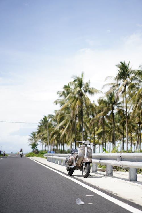 Kostnadsfri bild av moped, Palmer, resa