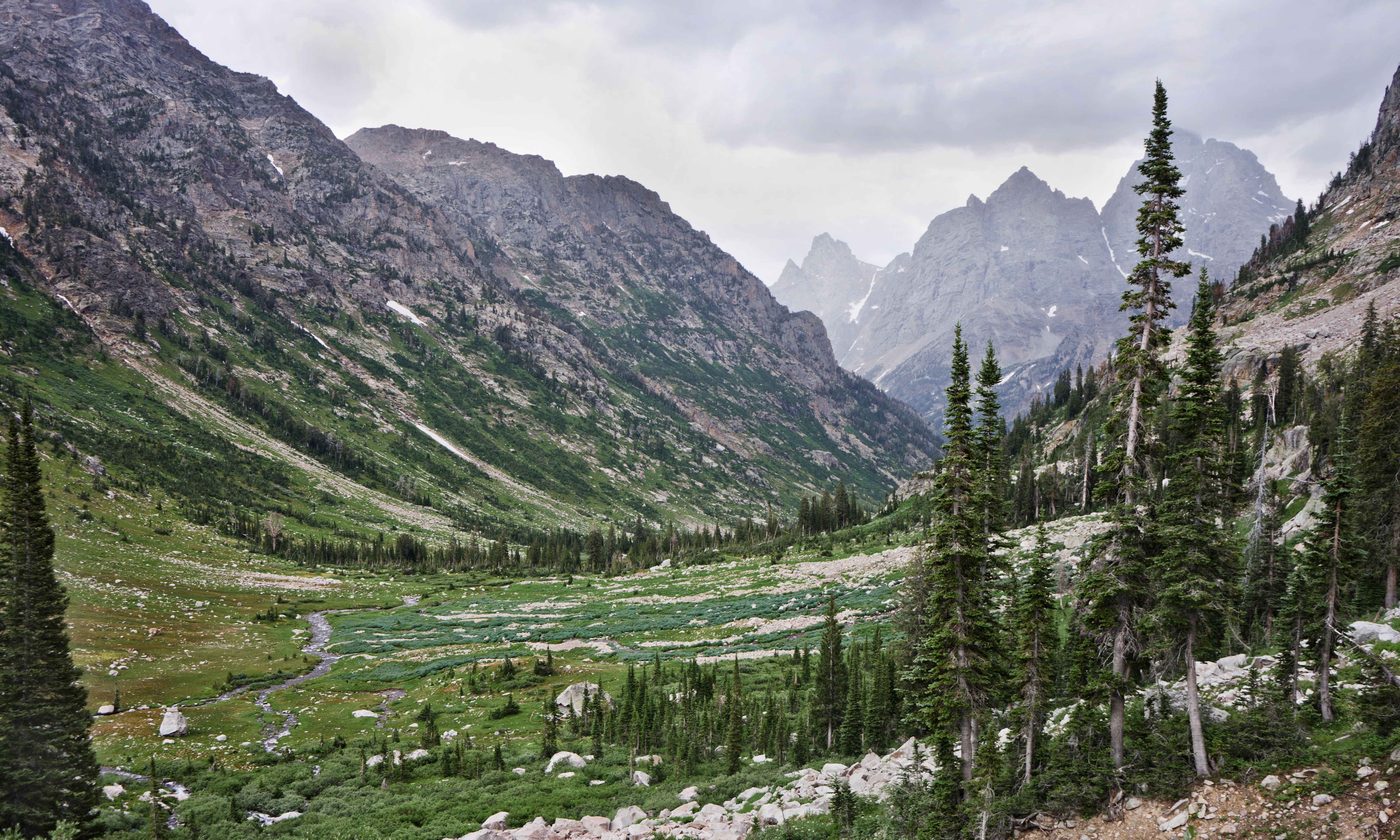 Scenic landscape of a lush green valley in Jackson, Wyoming with towering mountains.