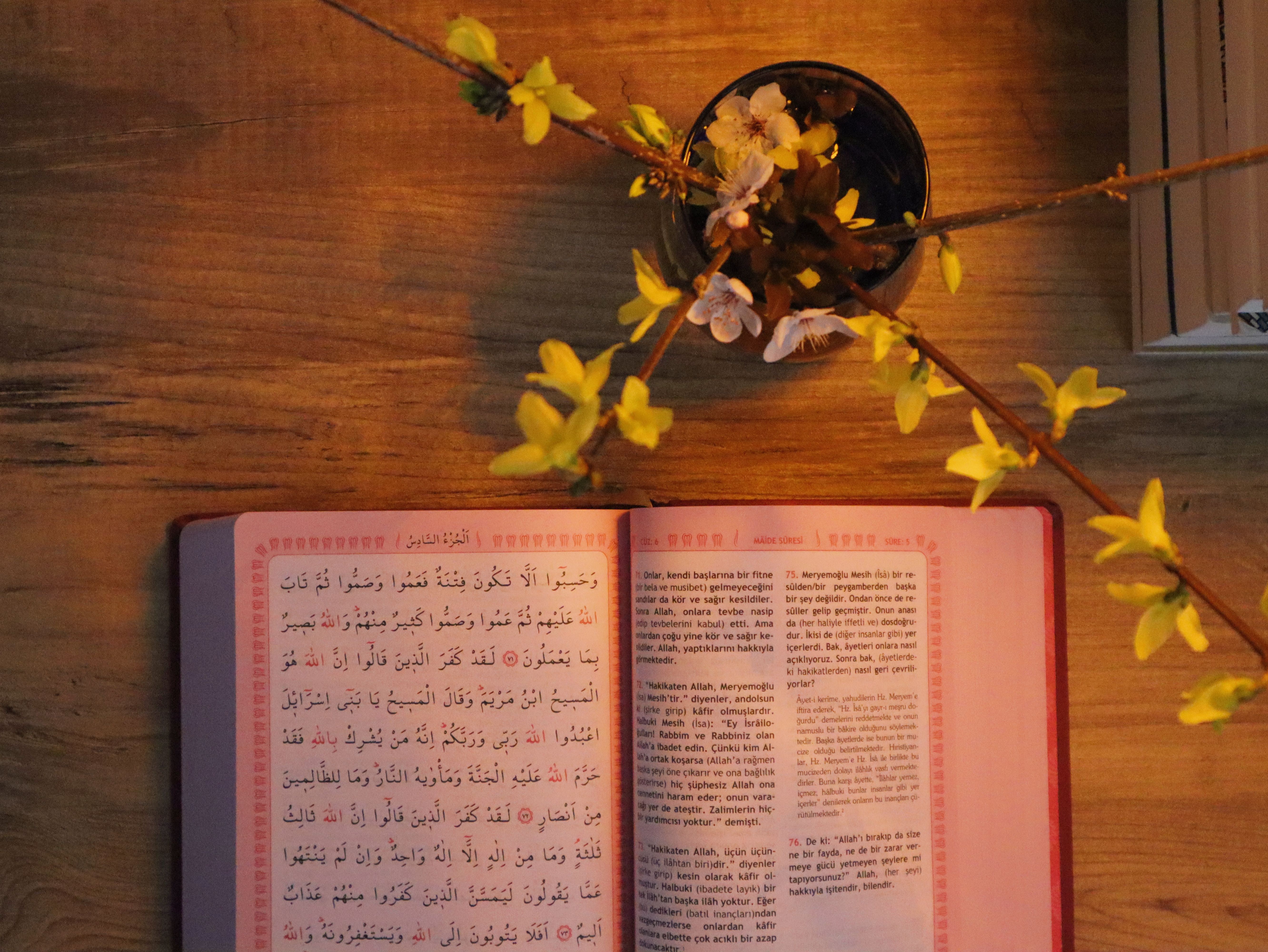 Islamic inspiration