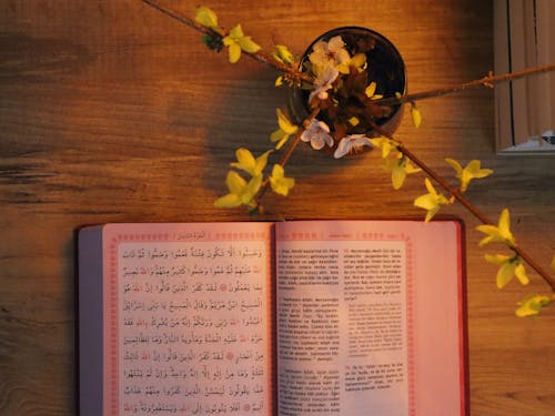 Základová fotografie zdarma na téma arabské psaní, čtení, dřevěný stůl