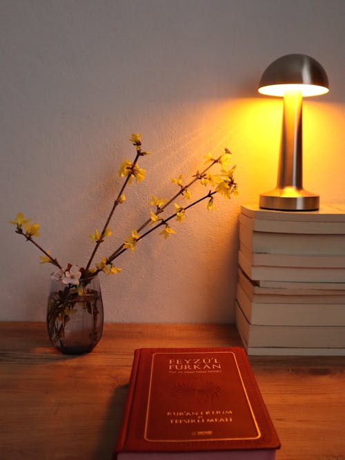 Бесплатное стоковое фото с вертикальный выстрел, книга, лампа