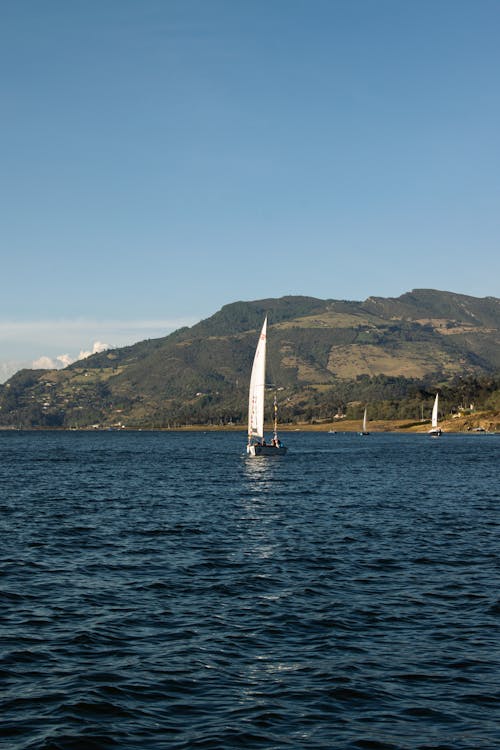 Kostenloses Stock Foto zu abenteuer, ferien, hügel