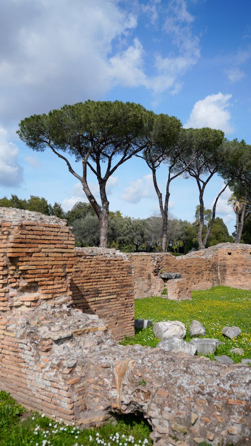The ruins of an ancient roman city with trees