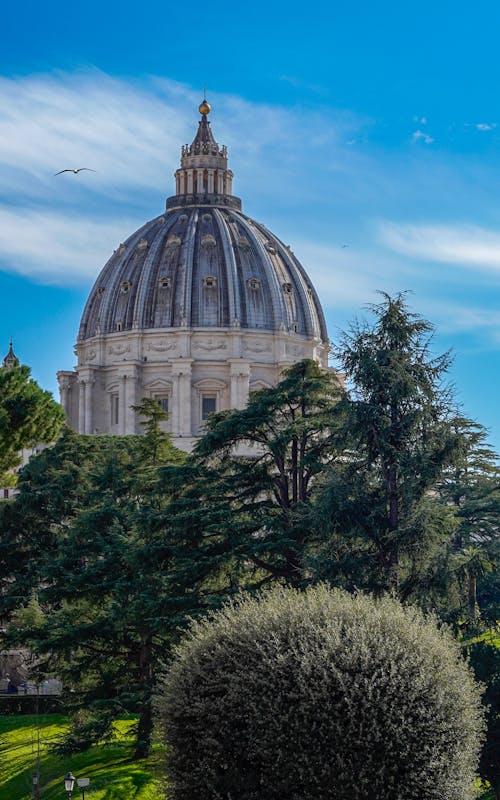 Kostenloses Stock Foto zu bäume, dom, italien