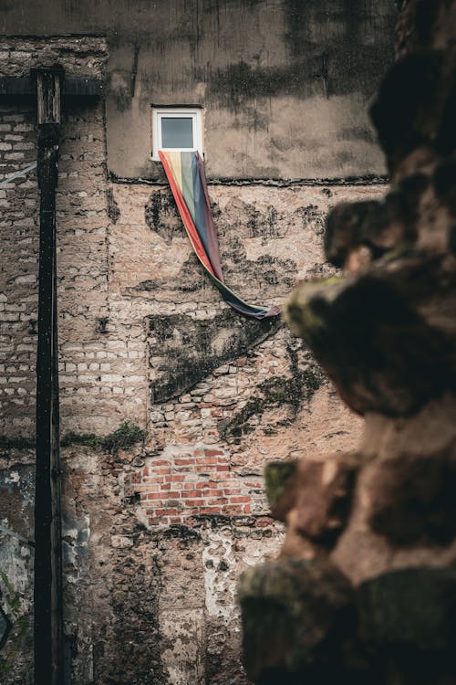 Základová fotografie zdarma na téma okenní rám, svoboda, výraz