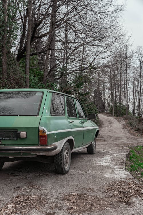 Foto profissional grátis de 12, árvores, automóvel